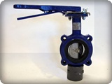 RBV Series Lug Type Butterfly Valve