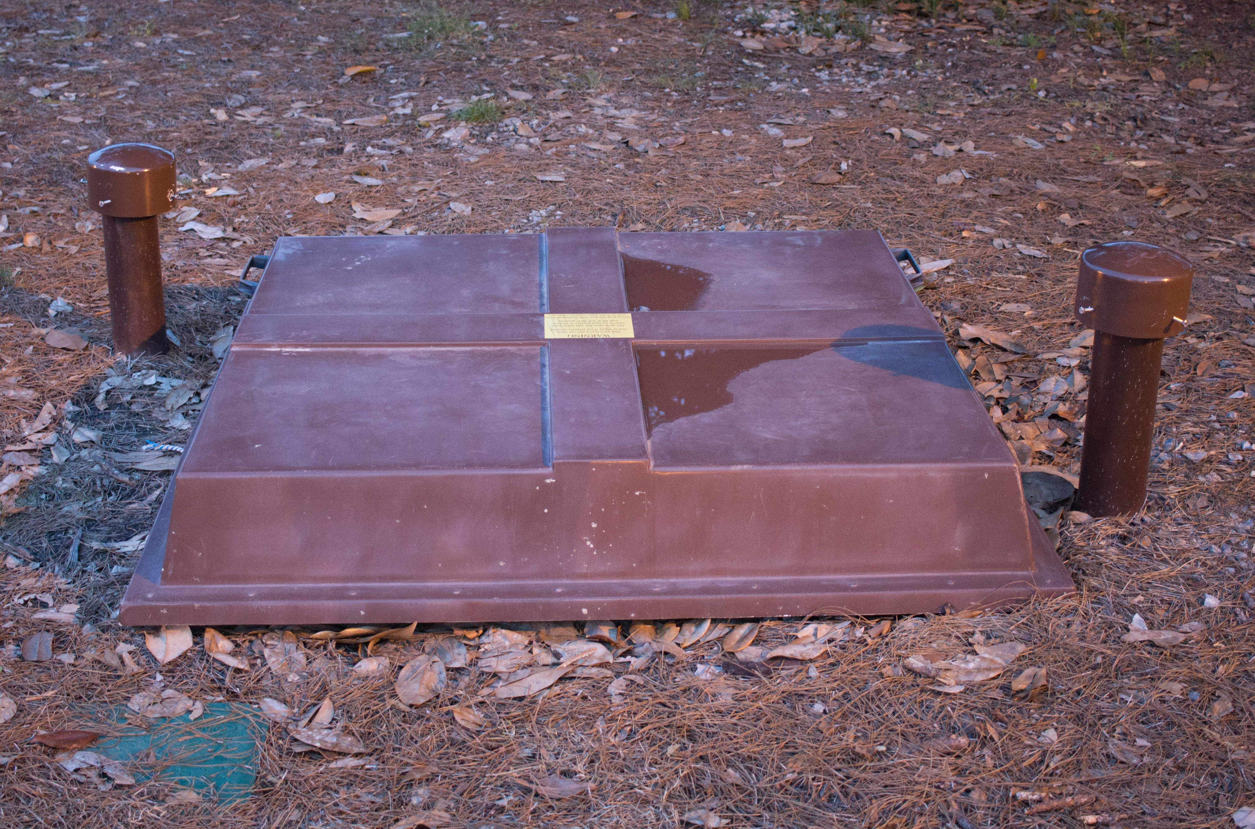 Tattnall Square Park Vault