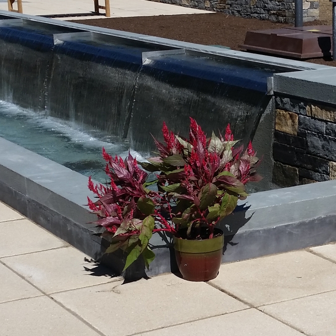 Knauss Terrace Fountain