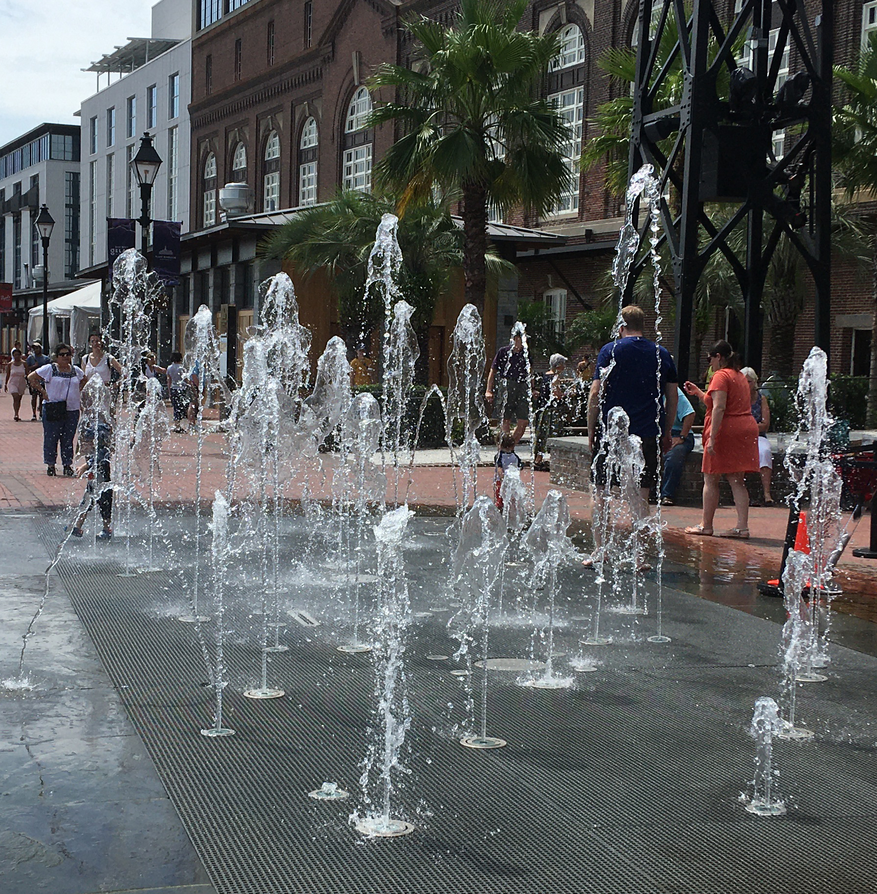 Plant Riverside District Large Show Fountain