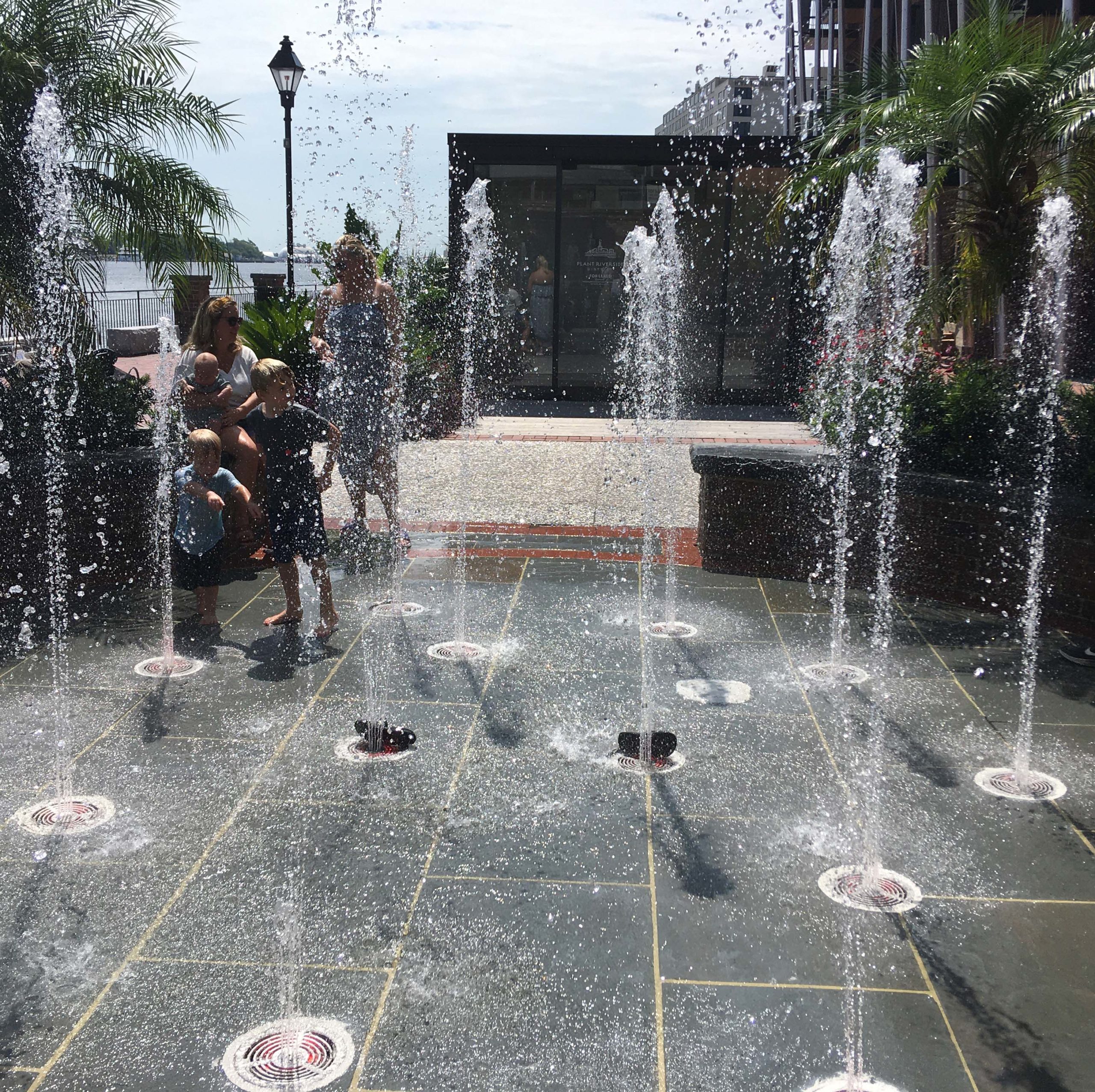 Plant Riverside Interactive Fountain