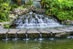 Plants Around A Fountain: Top 5 Choices