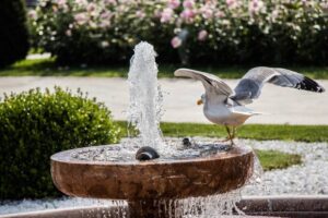 What You Should Know About Recycling Water Fountains