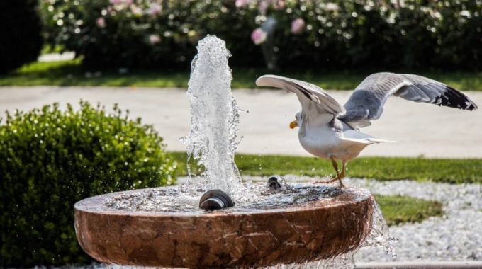 What You Should Know About Recycling Water Fountains